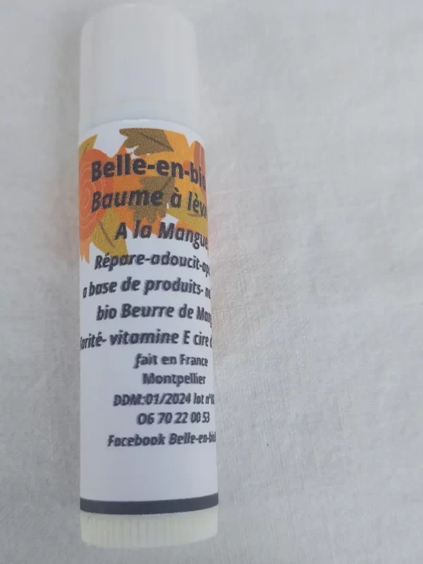 BAUME A LEVRE KARITE MANGUE