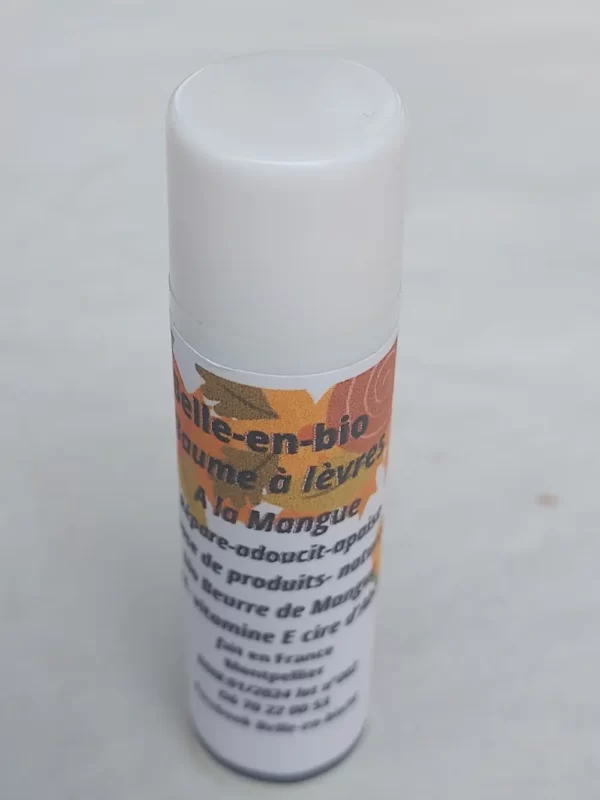 BAUME A LEVRE KARITE MANGUE