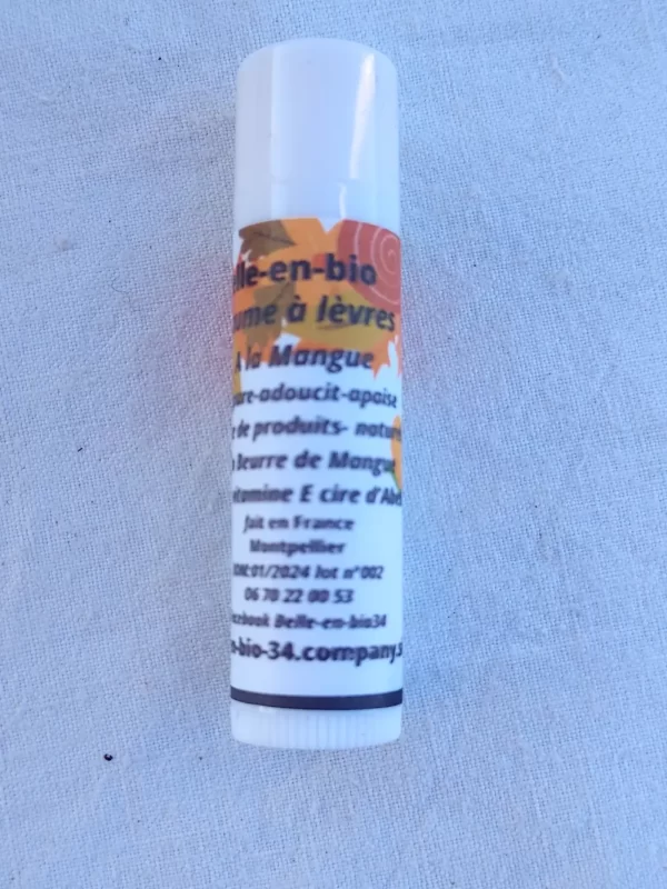 BAUME A LEVRE KARITE MANGUE