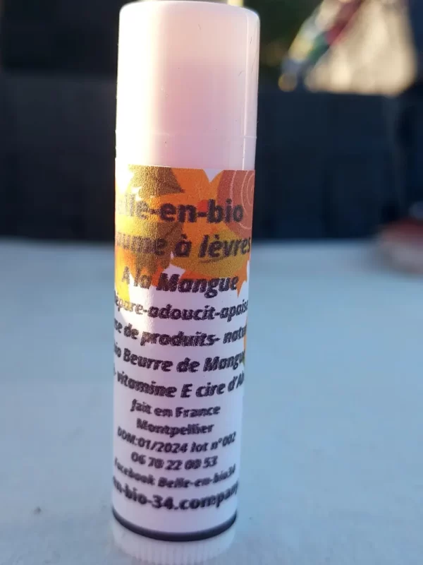 BAUME A LEVRE KARITE MANGUE