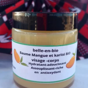 Baumes-Mangue-et-Karite-100ML